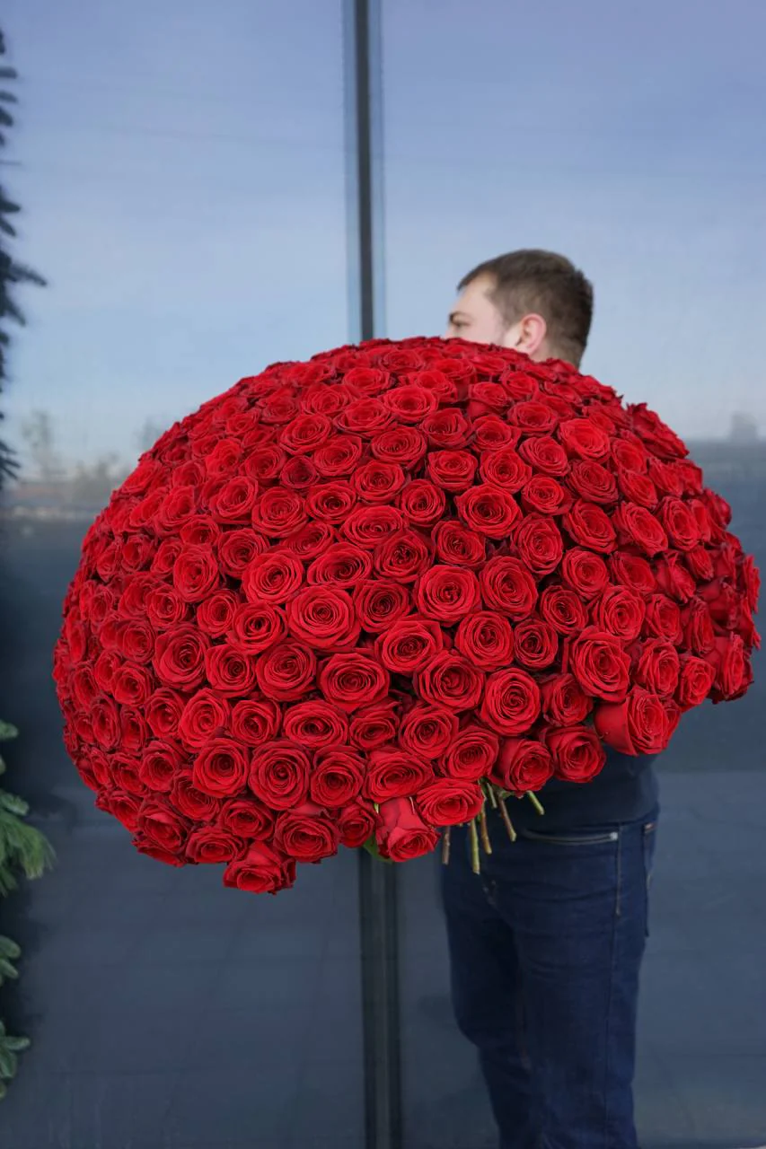 31 Cm Roses 301 roses in