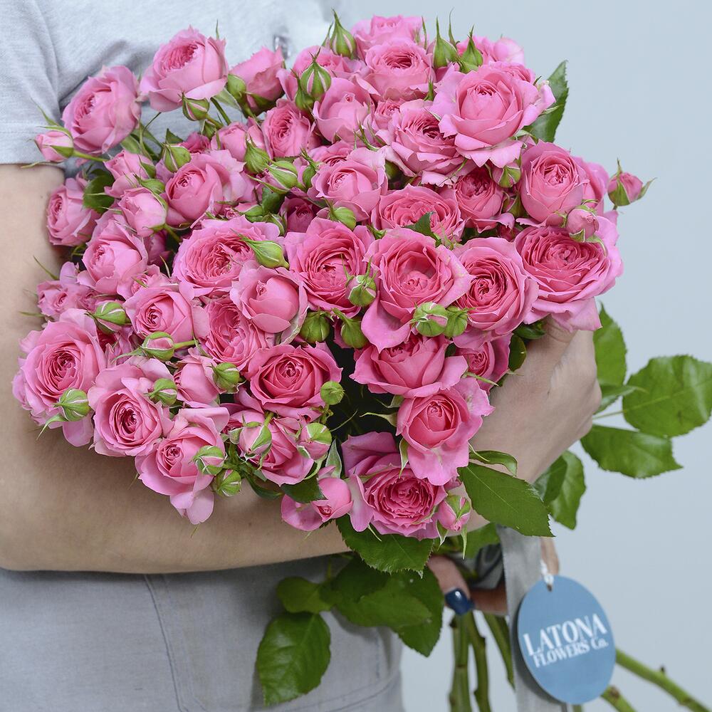 Bouquet with Pink Spray Roses – Fast Flower Delivery | Latona